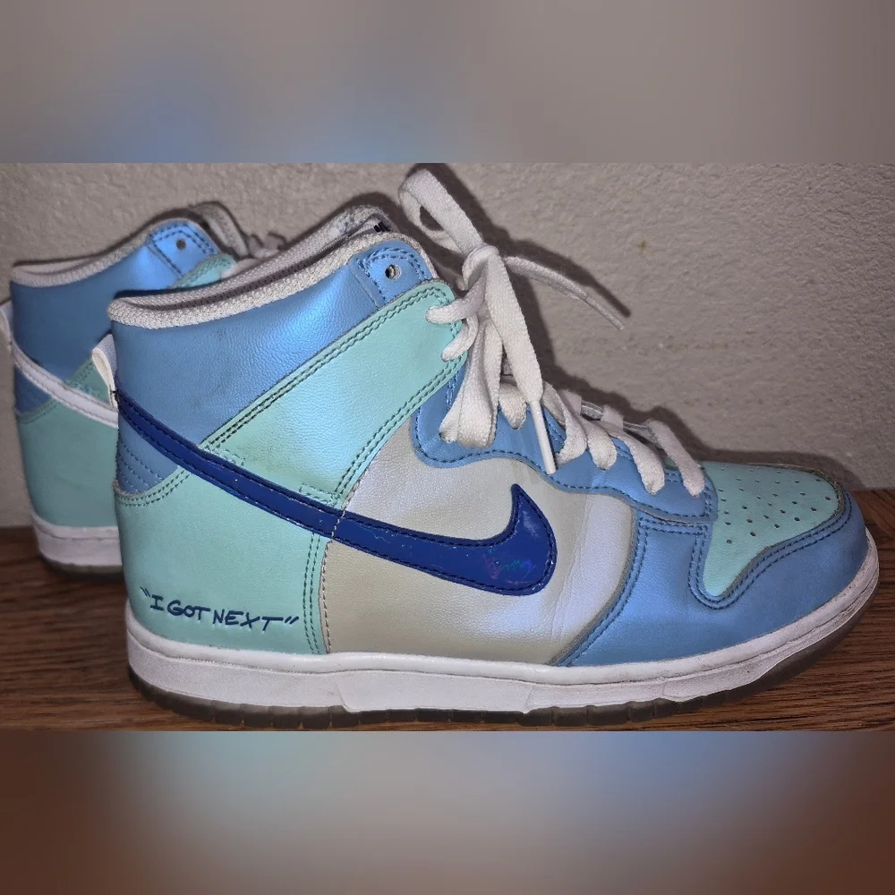 Nike Dunk High 
